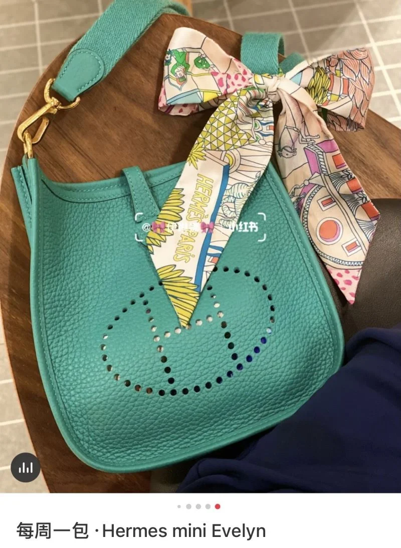 Hermes Evelyn Bags TopPick 48267
