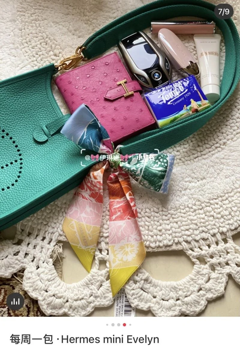 Hermes Evelyn Bags TopPick 48267