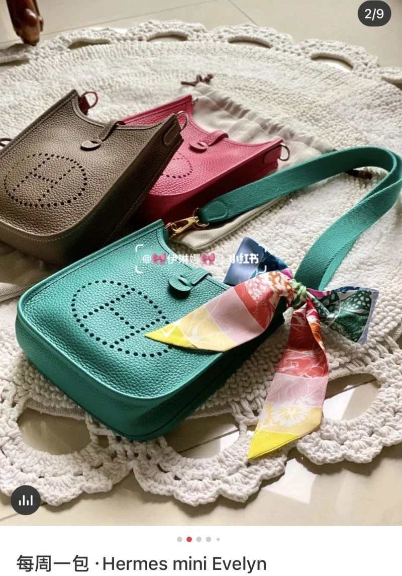Hermes Evelyn Bags TopPick 48267
