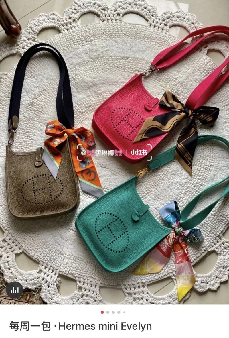 Hermes Evelyn Bags TopPick 48267