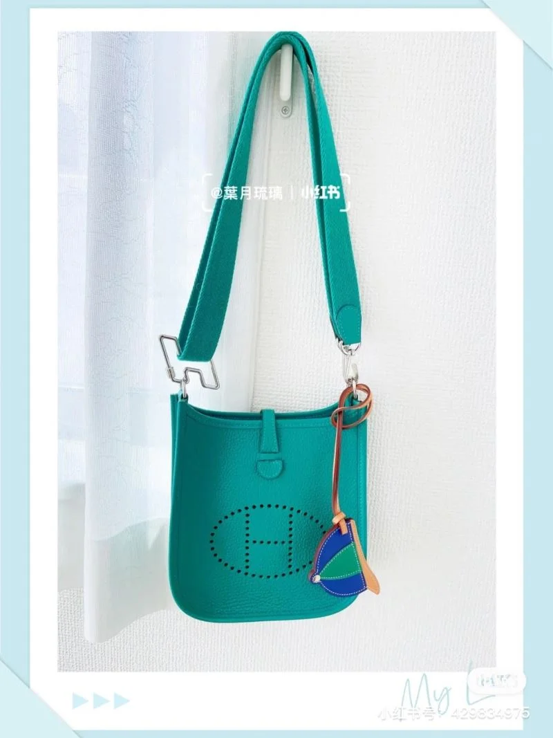 Hermes Evelyn Bags TopPick 48267
