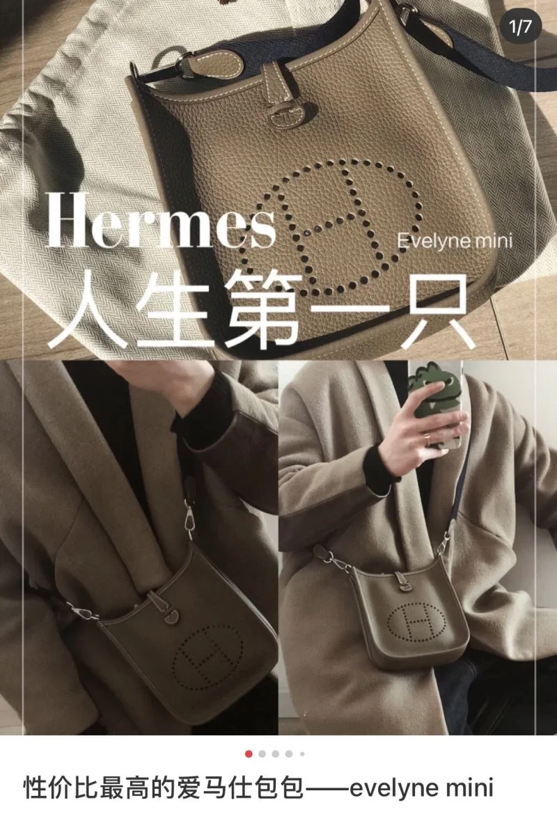 Functional Hermes Evelyn Bags 48268
