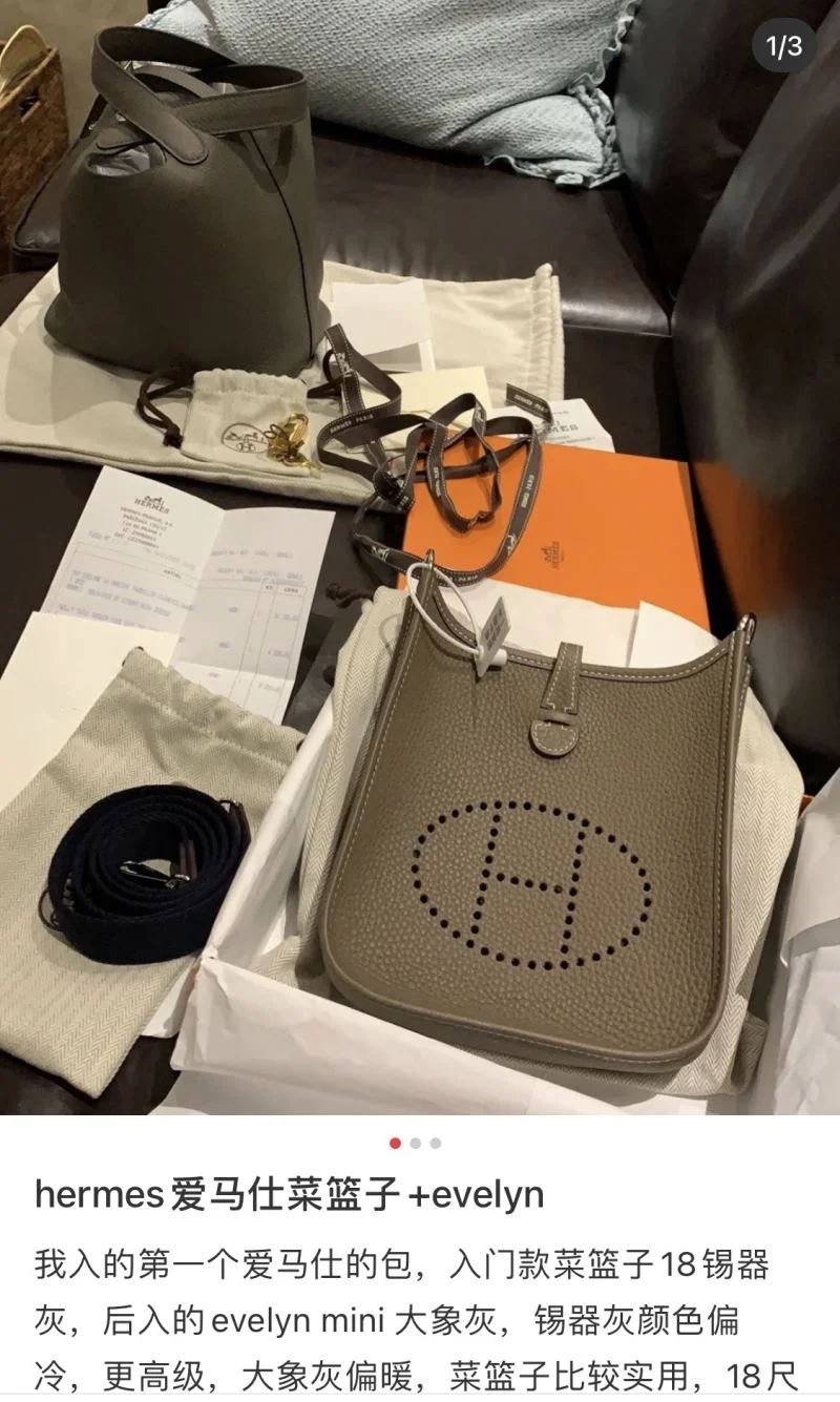 Functional Hermes Evelyn Bags 48268