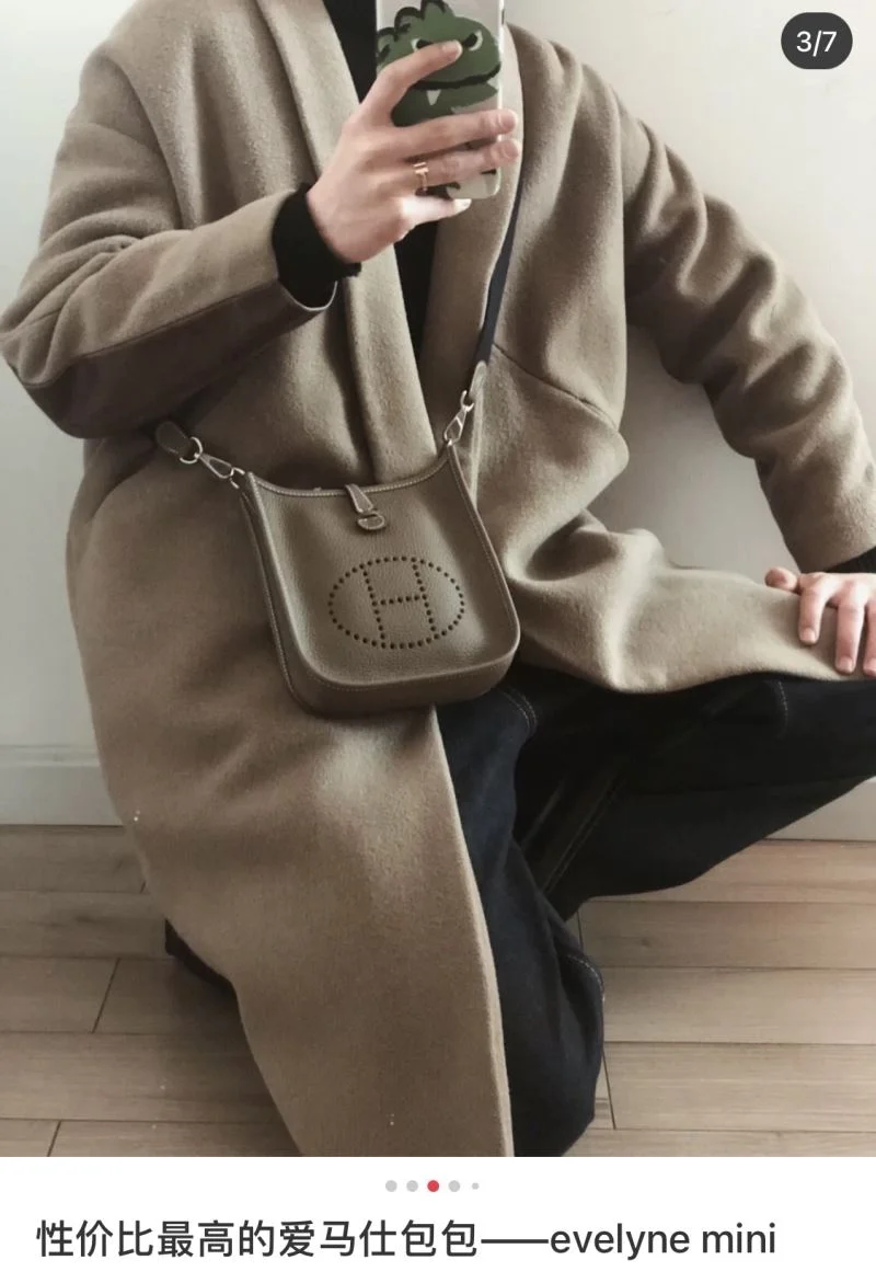 Functional Hermes Evelyn Bags 48268