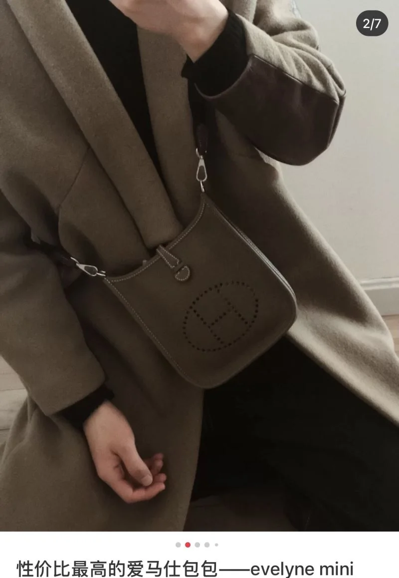 Functional Hermes Evelyn Bags 48268