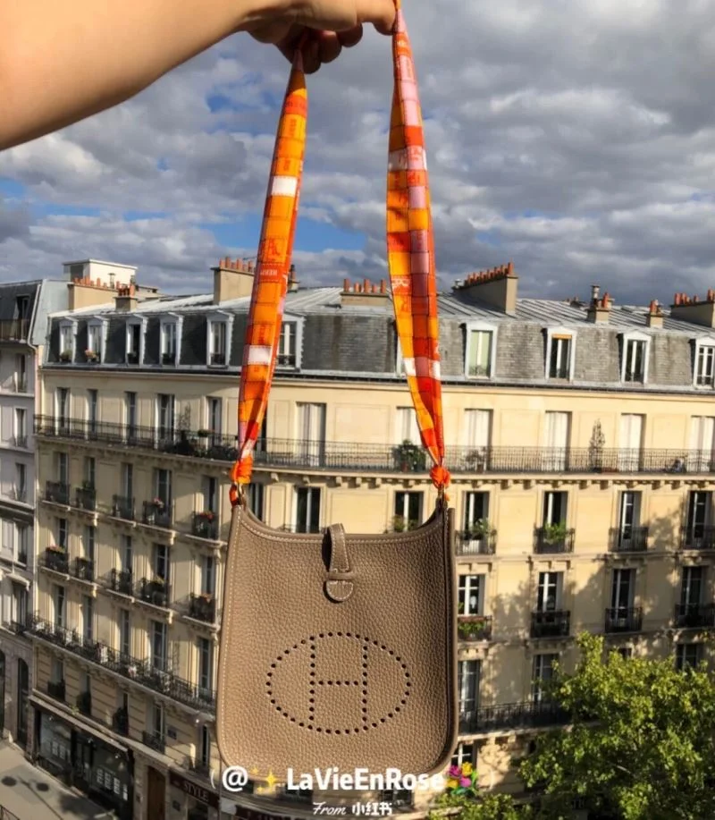 Functional Hermes Evelyn Bags 48268