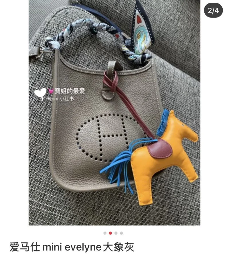 Functional Hermes Evelyn Bags 48268