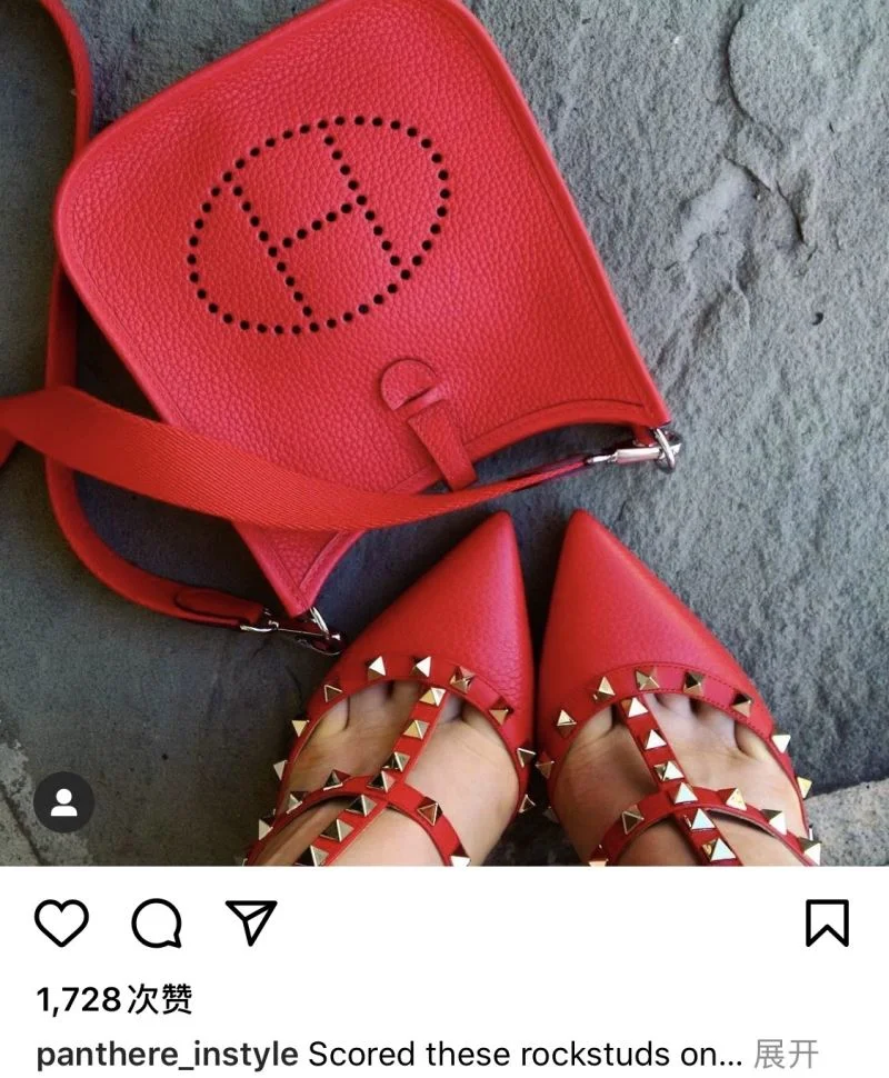 Versatile Hermes Evelyn Bags 48303