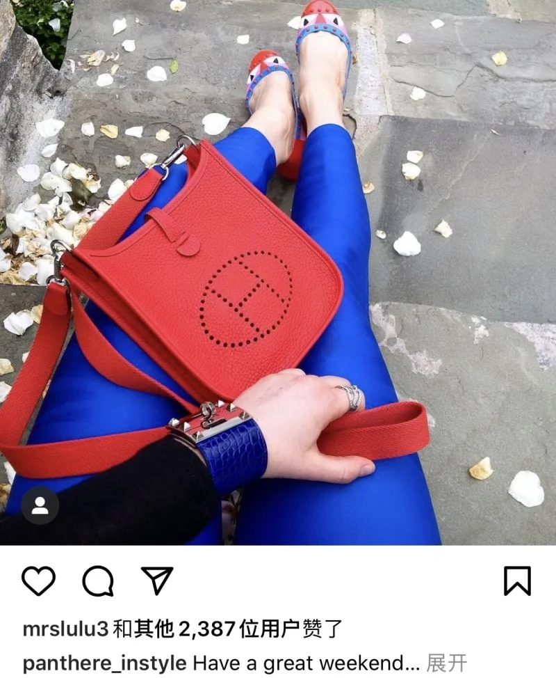 Versatile Hermes Evelyn Bags 48303