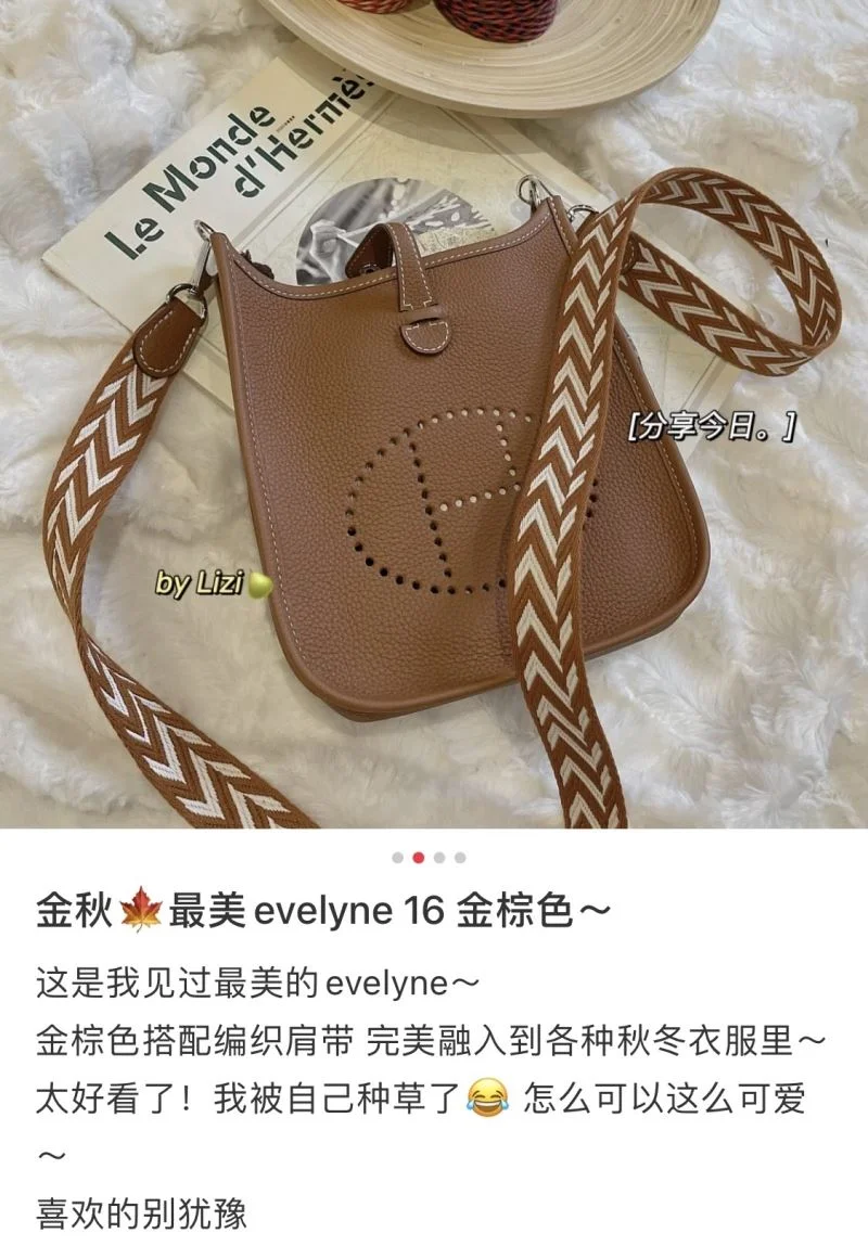 Hermes Evelyn Bags Stretchable 48261