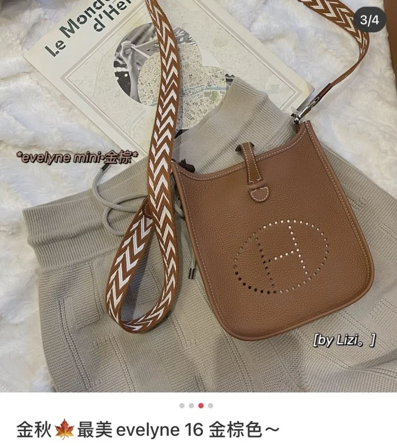 Hermes Evelyn Bags Stretchable 48261