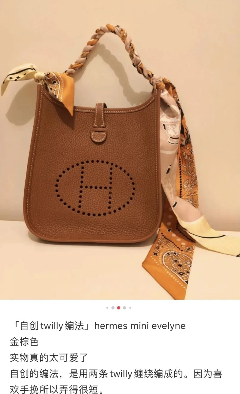 Hermes Evelyn Bags Stretchable 48261