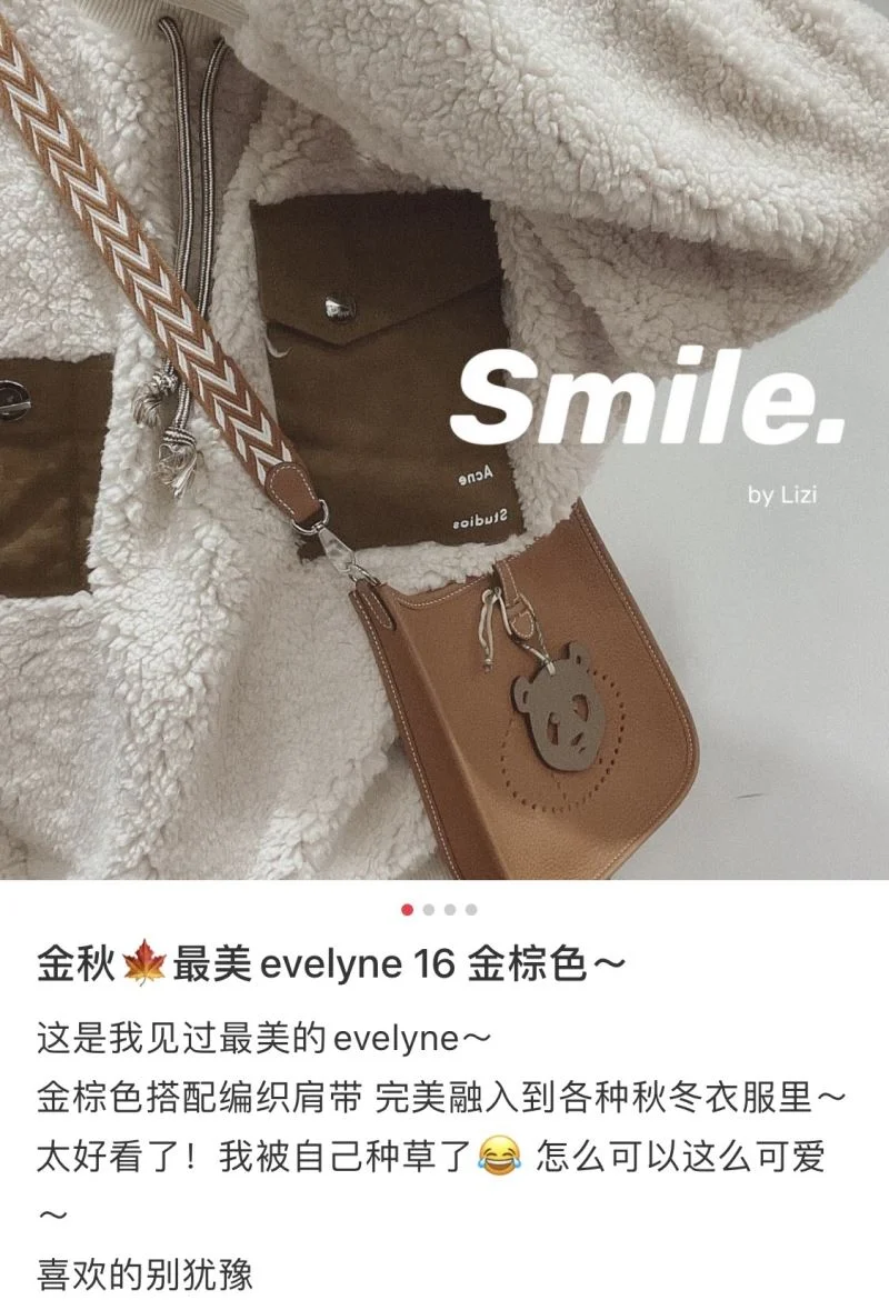 Hermes Evelyn Bags Stretchable 48261