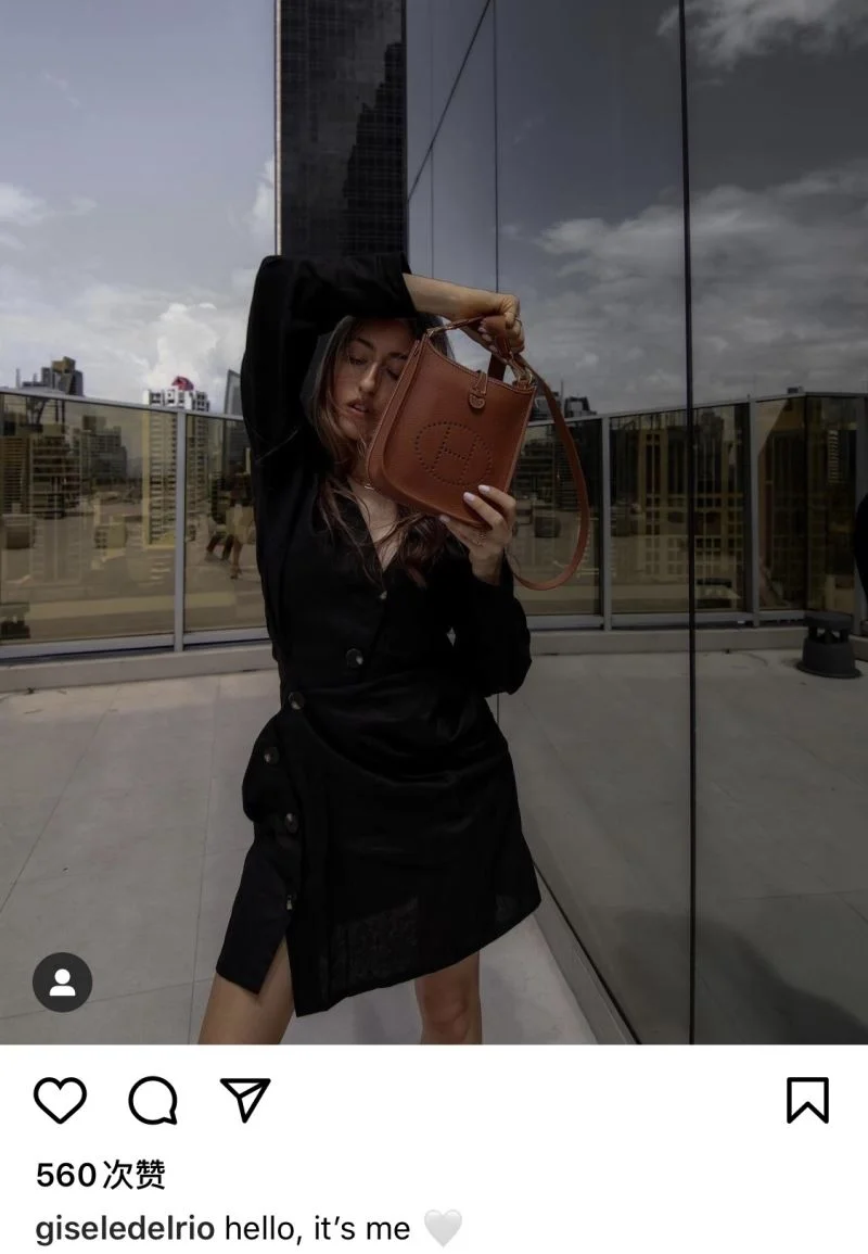 Neat Hermes Evelyn Bags 48257
