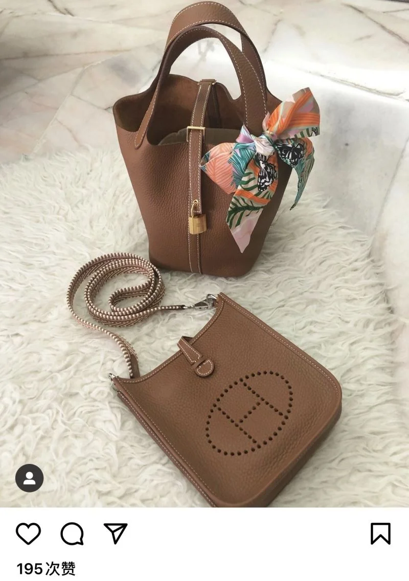 Neat Hermes Evelyn Bags 48257