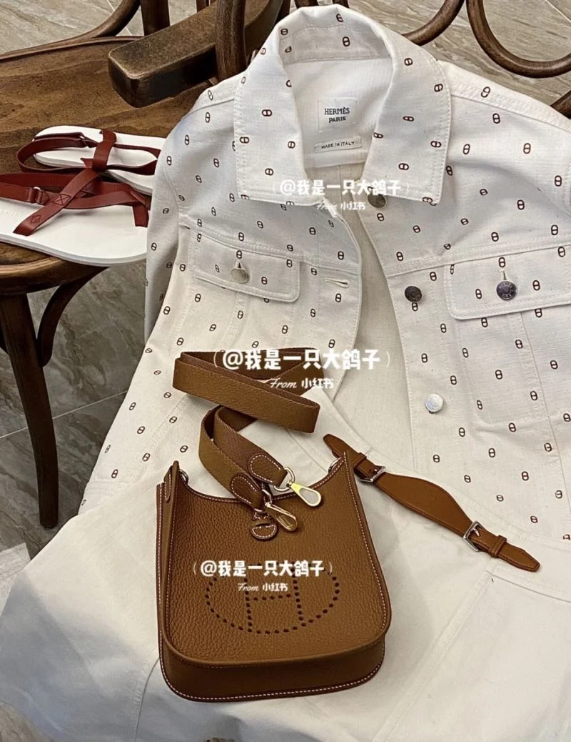 Neat Hermes Evelyn Bags 48257