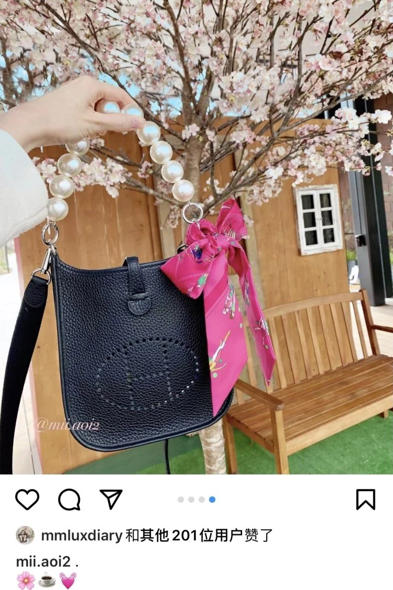 Hermes Evelyn Bags Contemporary 48270