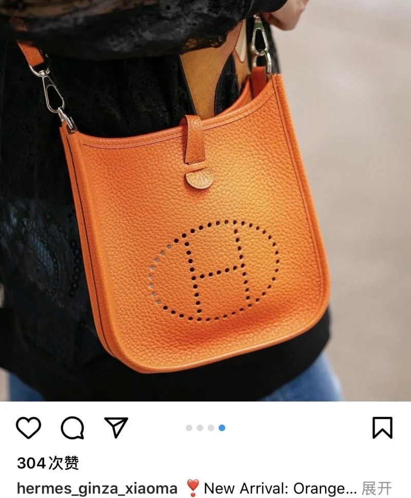 Hermes Evelyn Bags Sporty 48291