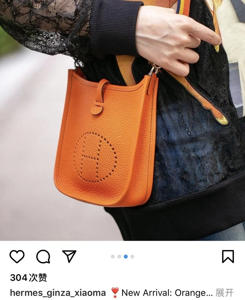 Hermes Evelyn Bags Sporty 48291