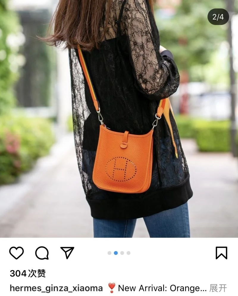Hermes Evelyn Bags Sporty 48291