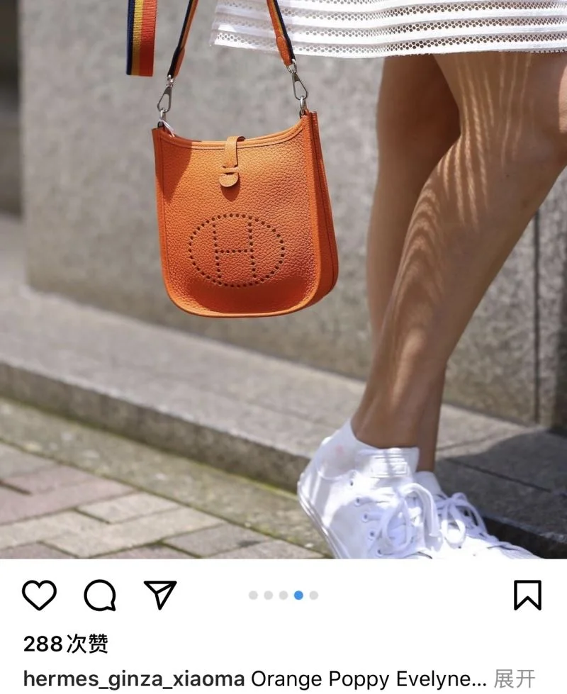 Hermes Evelyn Bags Sporty 48291