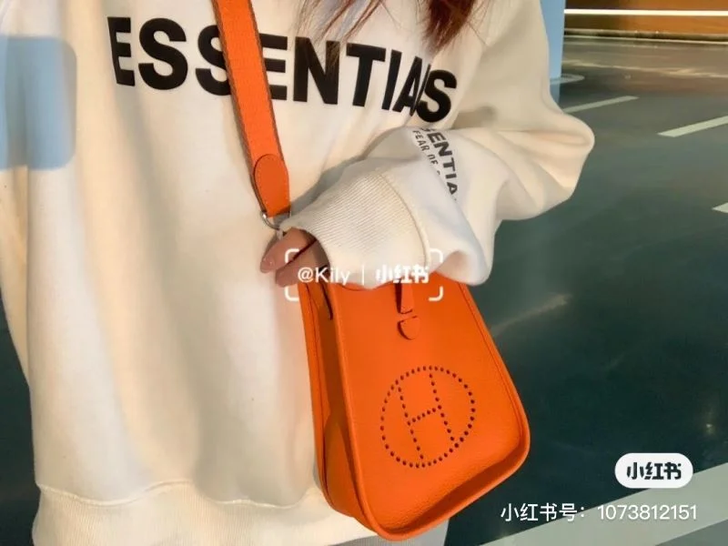 Hermes Evelyn Bags Sporty 48291