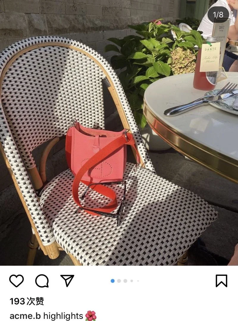 SmoothTexture Hermes Evelyn Bags 48266