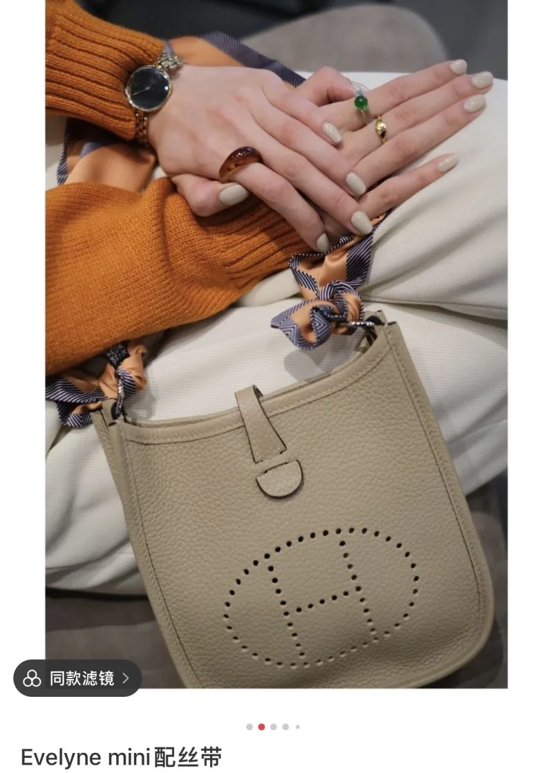 Hermes Evelyn Bags Lightweight 48246