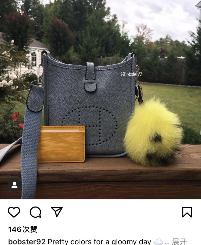 Hermes Evelyn Bags TravelReady 48258