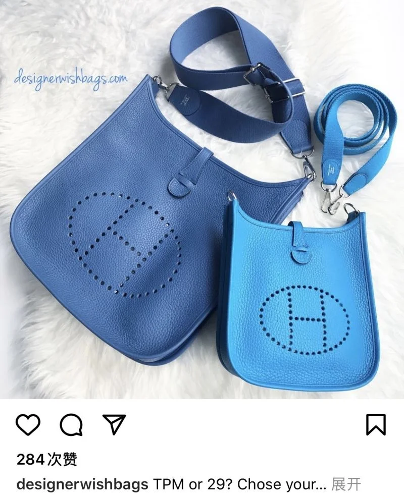 Hermes Evelyn Bags BestValue 48245