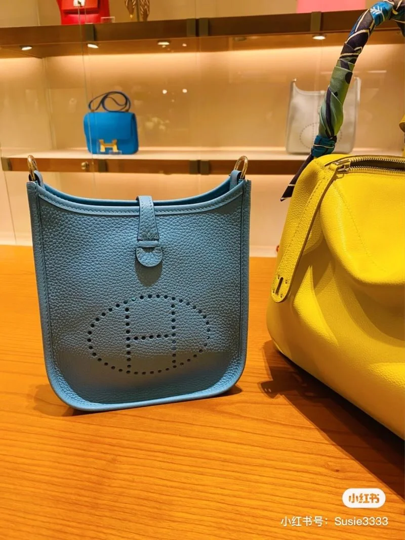 Hermes Evelyn Bags BestValue 48245
