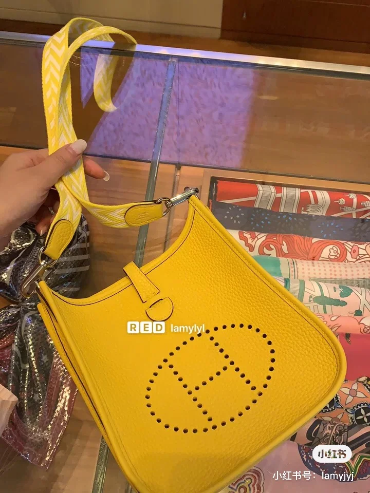 Hermes Evelyn Bags Elegant 48310