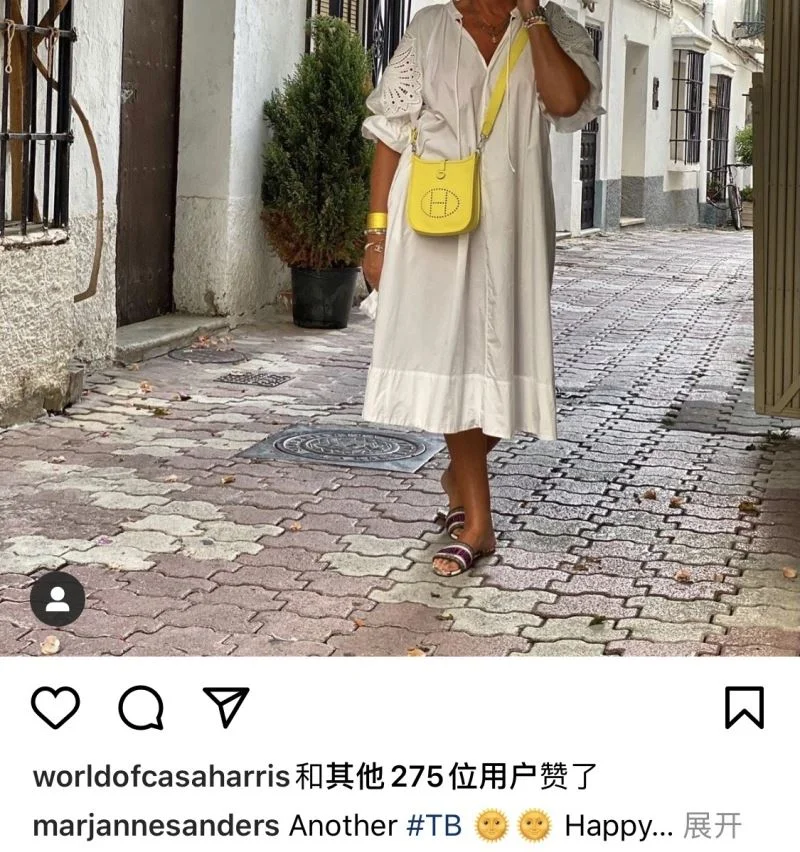 Hermes Evelyn Bags Elegant 48310