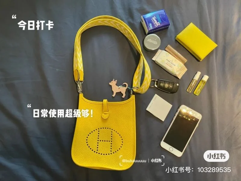Hermes Evelyn Bags Elegant 48310