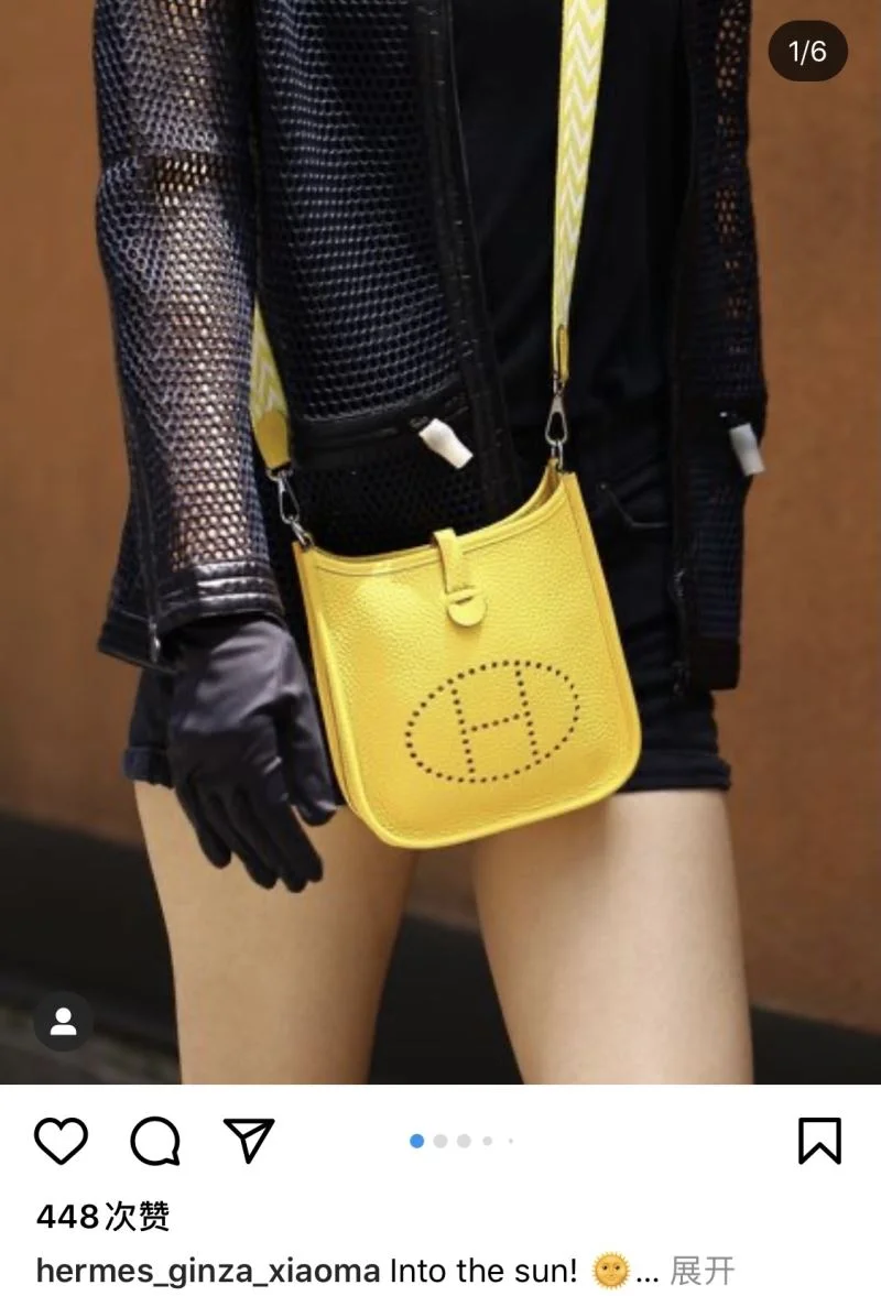 Hermes Evelyn Bags Elegant 48310
