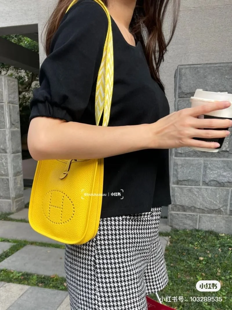 Hermes Evelyn Bags Elegant 48310