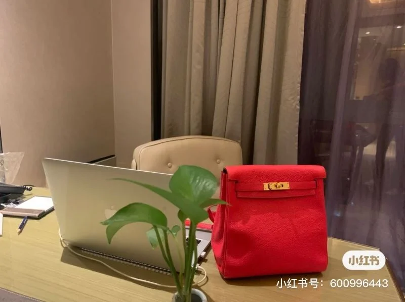 DailyWear Hermes Kelly Bags 47861