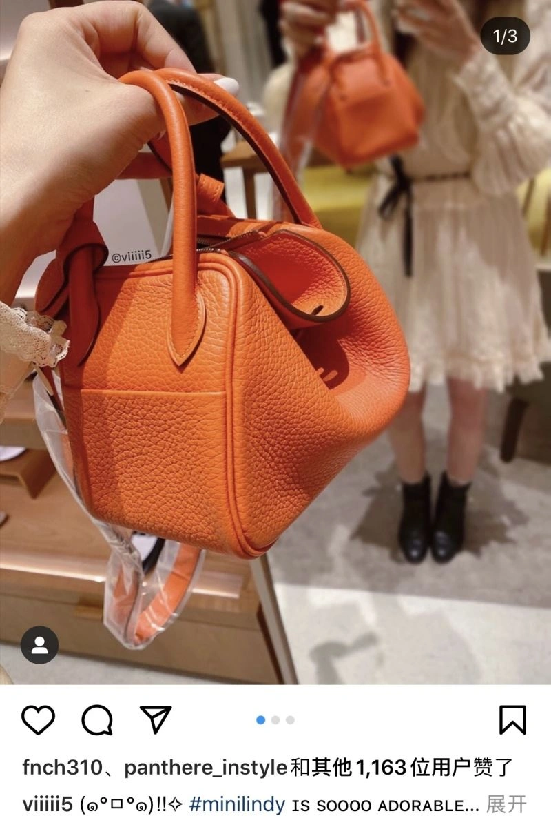 Hermes Lindy Bags MultiPurpose 73719