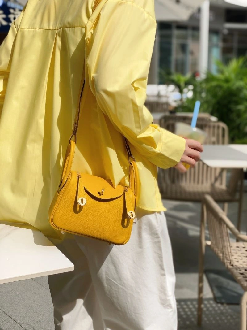 Sleek Hermes Lindy Bags 64357