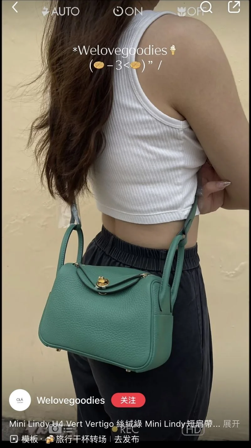 Hermes Lindy Bags GoAnywhere 47874