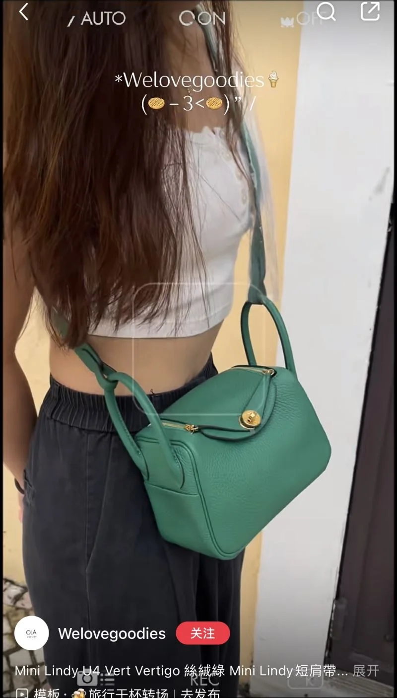 Hermes Lindy Bags GoAnywhere 47874