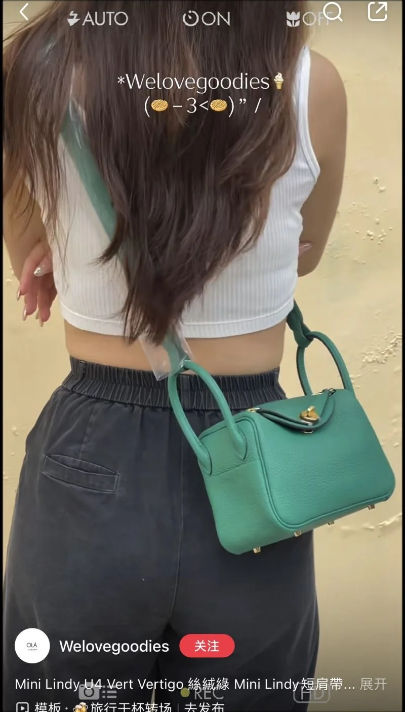 Hermes Lindy Bags GoAnywhere 47874
