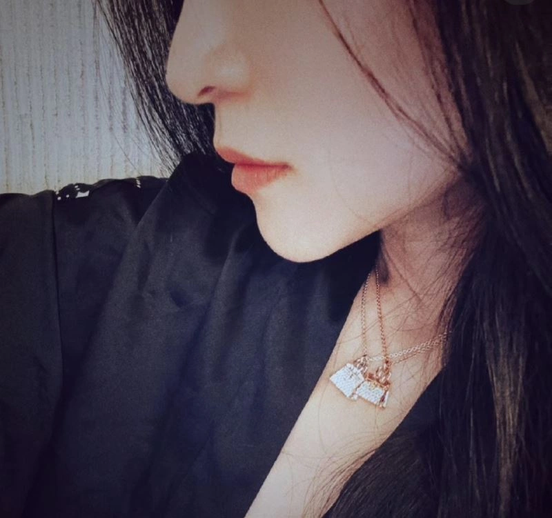 Hermes Necklaces Bold 247399