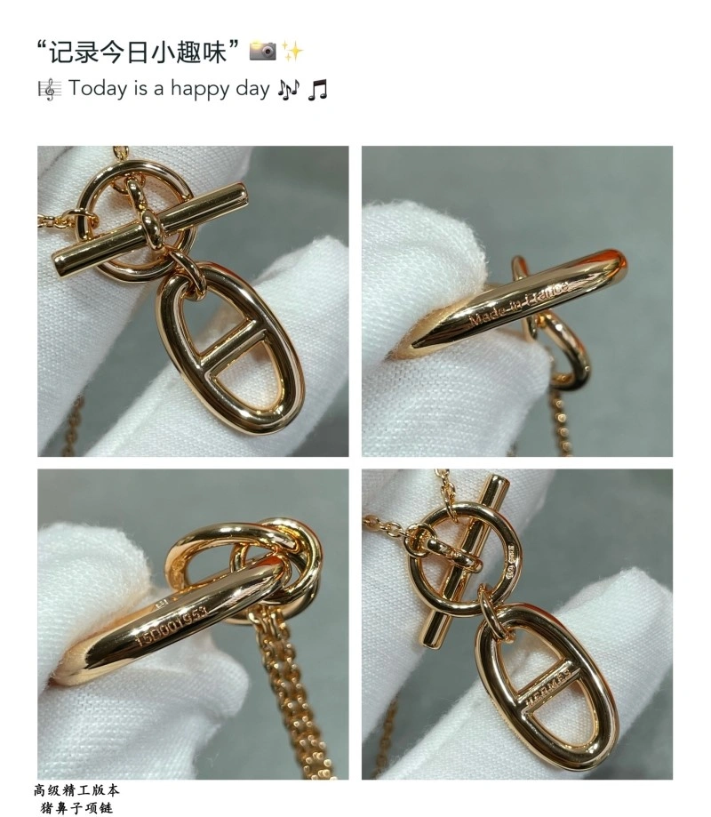 Comfortable Hermes Necklaces 246747