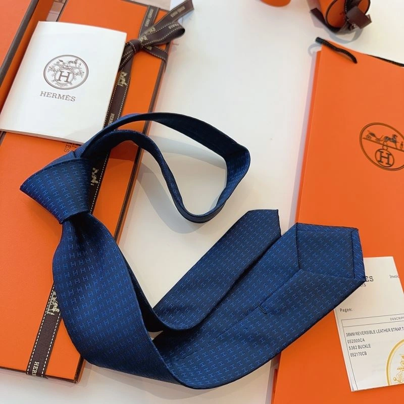 Hermes Neckties Sophisticated 268788