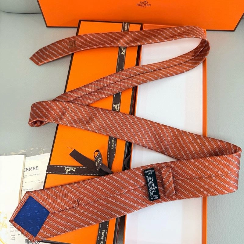 Sporty Hermes Neckties 268718