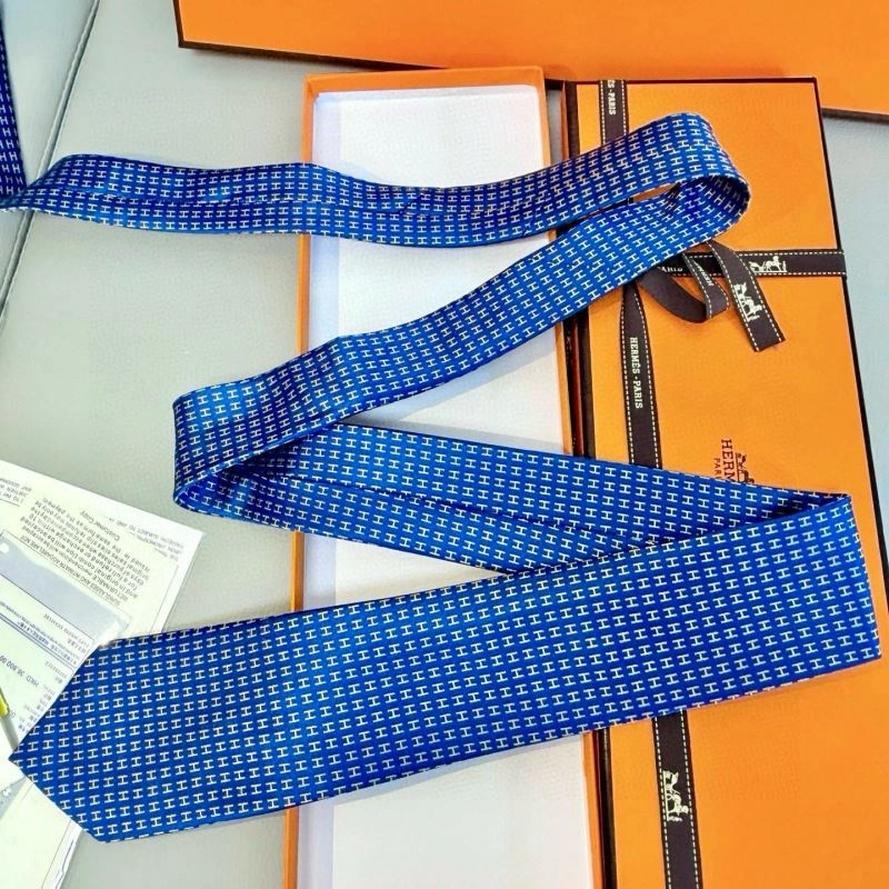 Neat Hermes Neckties 268700