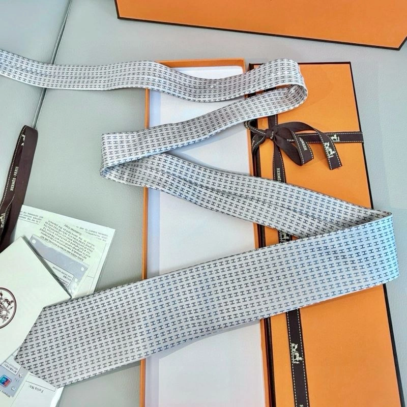 SmartChoice Hermes Neckties 268695