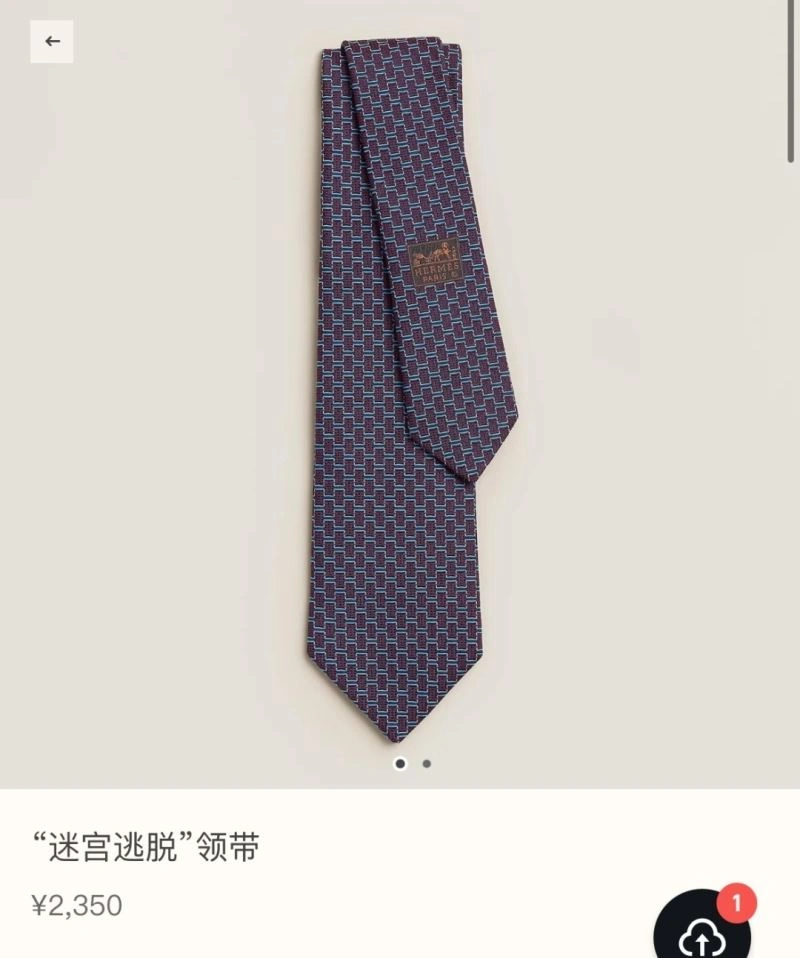 Thermal Hermes Neckties 268661