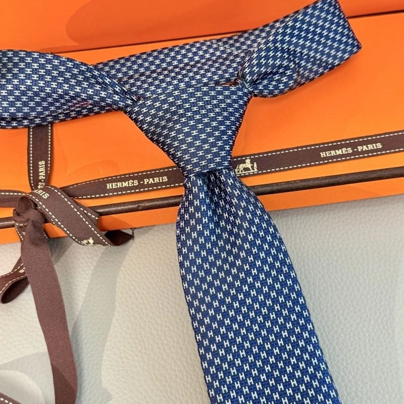 Hermes Neckties Vibrant 268666